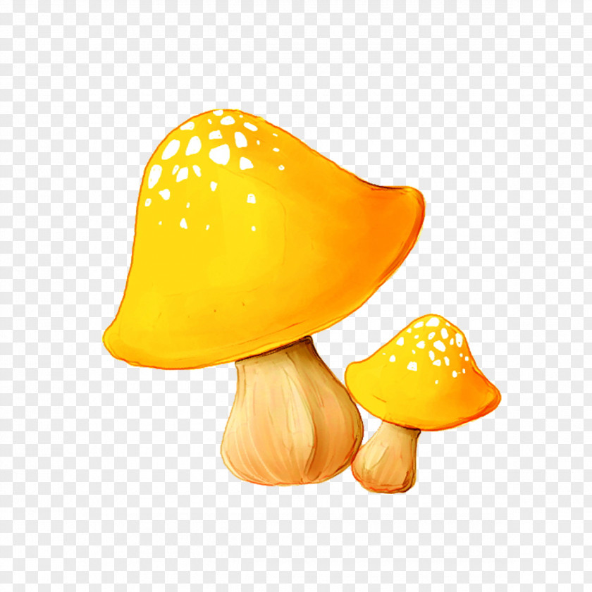 Hand Drawn Mushrooms Mushroom Enokitake PNG