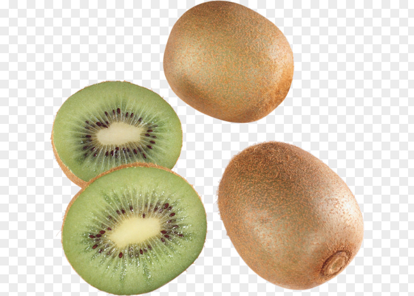 Kiwifruit Clip Art PNG