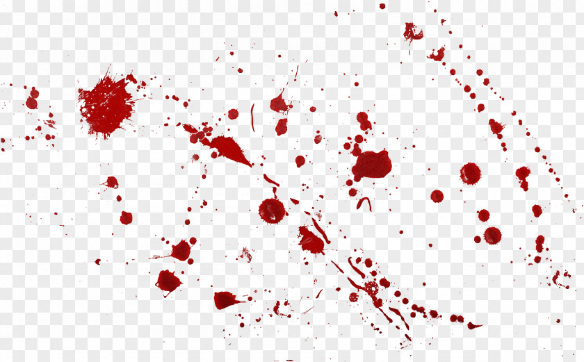 Passive Bloodstain Pattern Analysis Forensic Science Blood Theme Circulatory System PNG