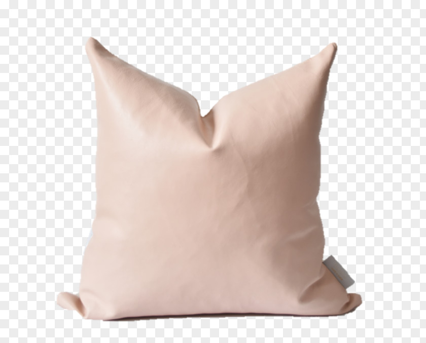 Persian Carpet Texture Throw Pillows Cushion Bed Chair PNG