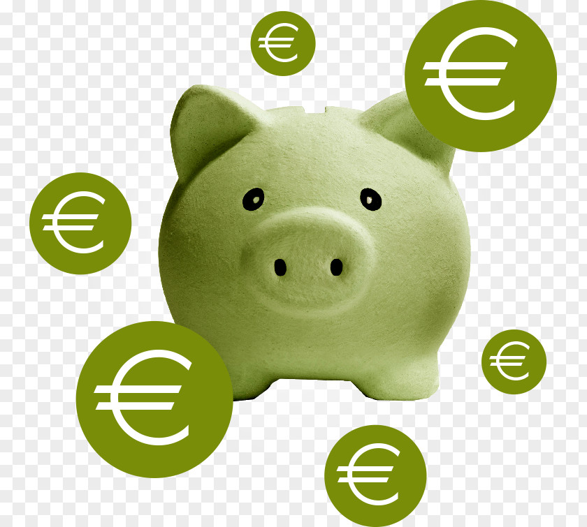 Pig Piggy Bank Industrial Design Snout PNG
