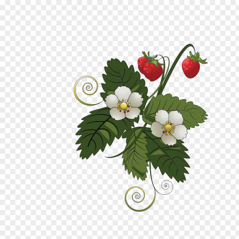 Plant Markers Strawberry Clip Art Vector Graphics Drawing Juice PNG