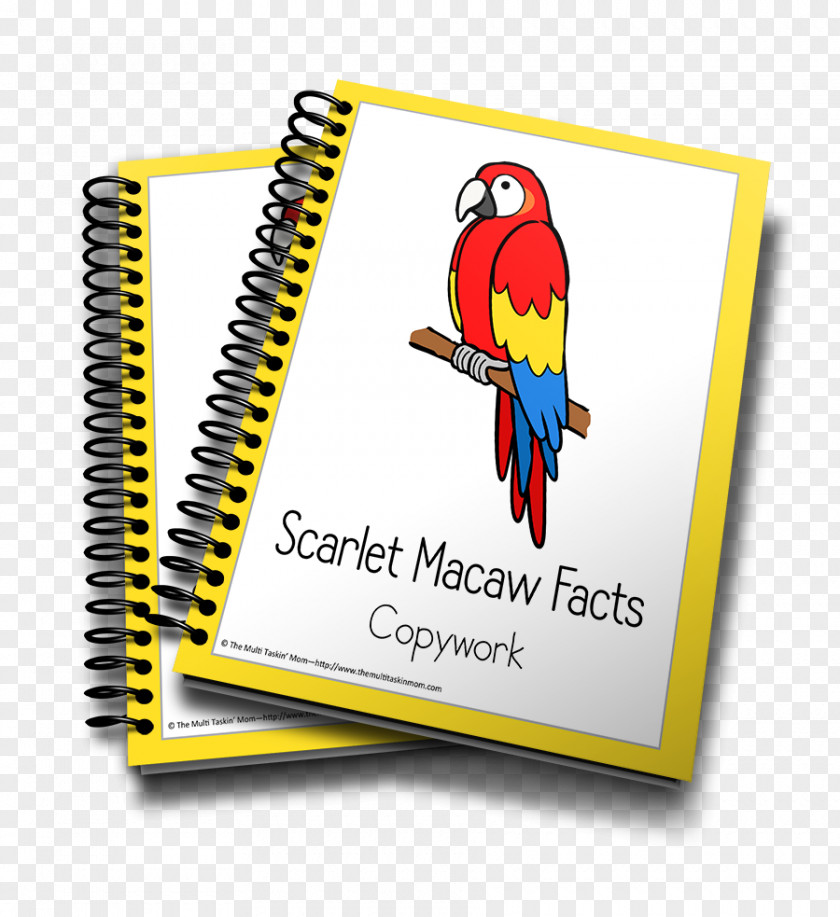 Scarlet Macaw Pre-kindergarten Pre-school The Brain-Friendly Workplace: 5 Big Ideas From Neuroscience To Address Organizational Challenges Homeschooling Learning PNG