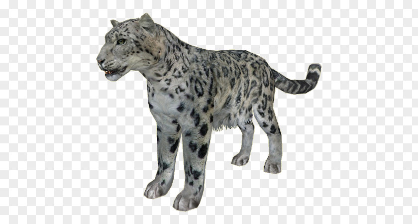 Snowleopard Snow Leopard Cheetah Zoo Tycoon 2 Felidae PNG