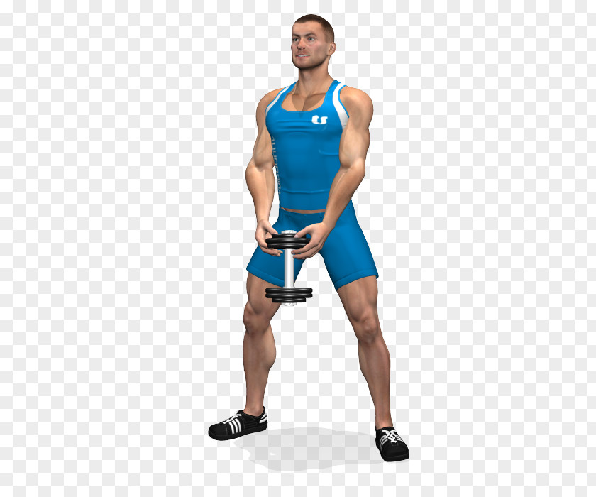 Sumo Squat Gluteal Muscles Physical Exercise Dumbbell Deadlift PNG