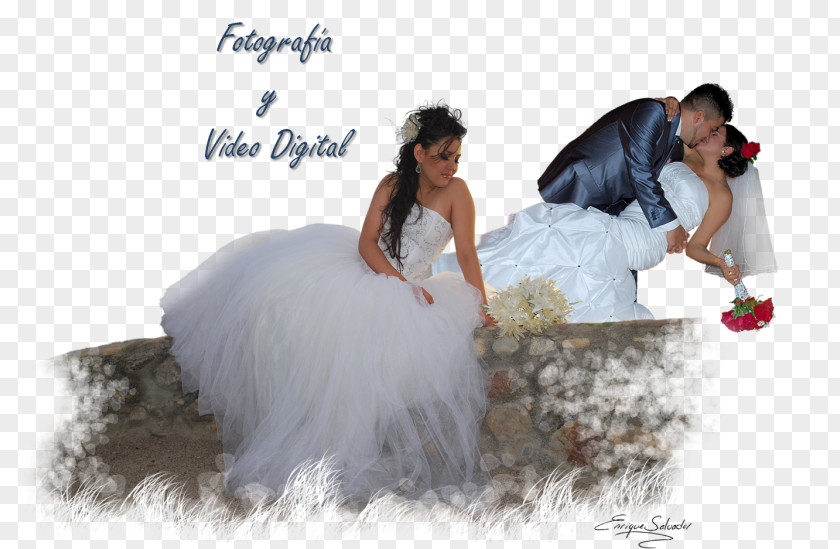 Wedding Dress Bride PNG