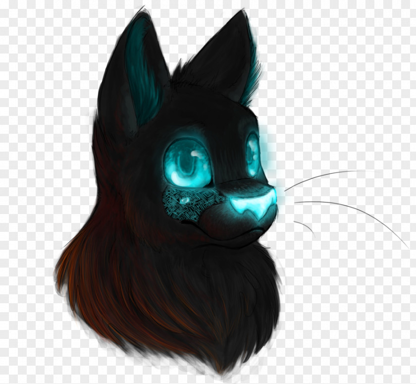 Cat Whiskers Snout Teal Ear PNG