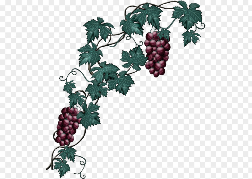 Grape Wine Clip Art PNG