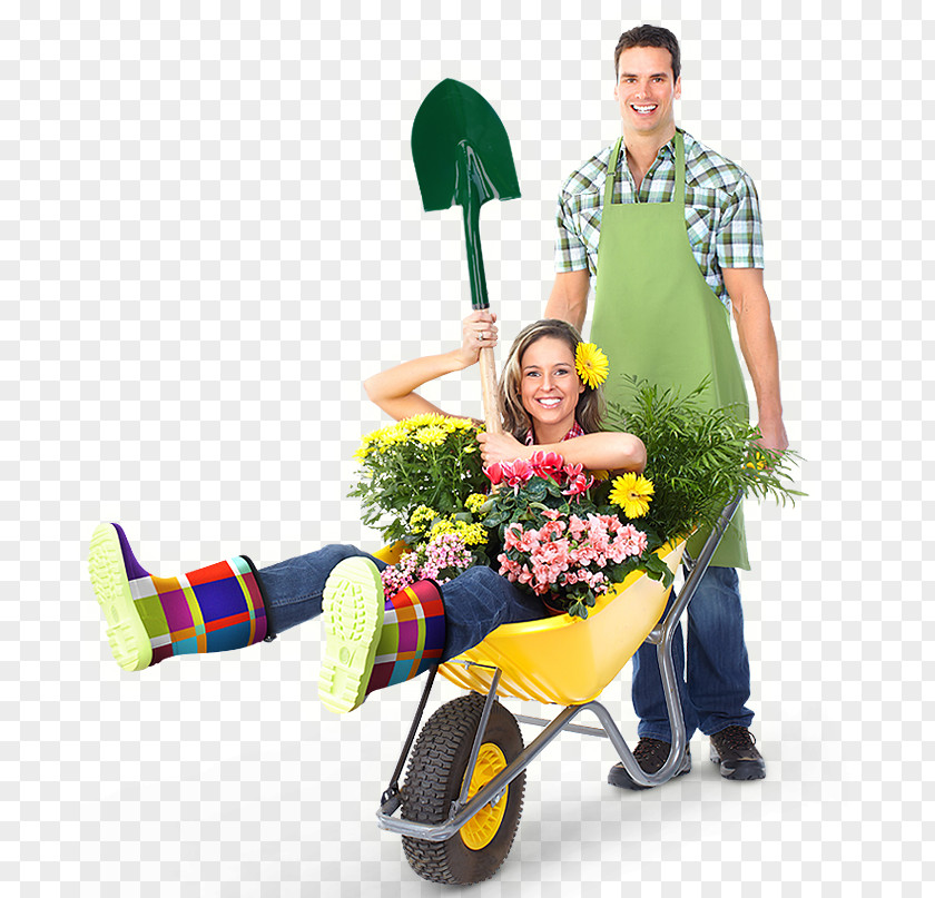 Asma Pattern Wheelbarrow Flower Floristry Product PNG