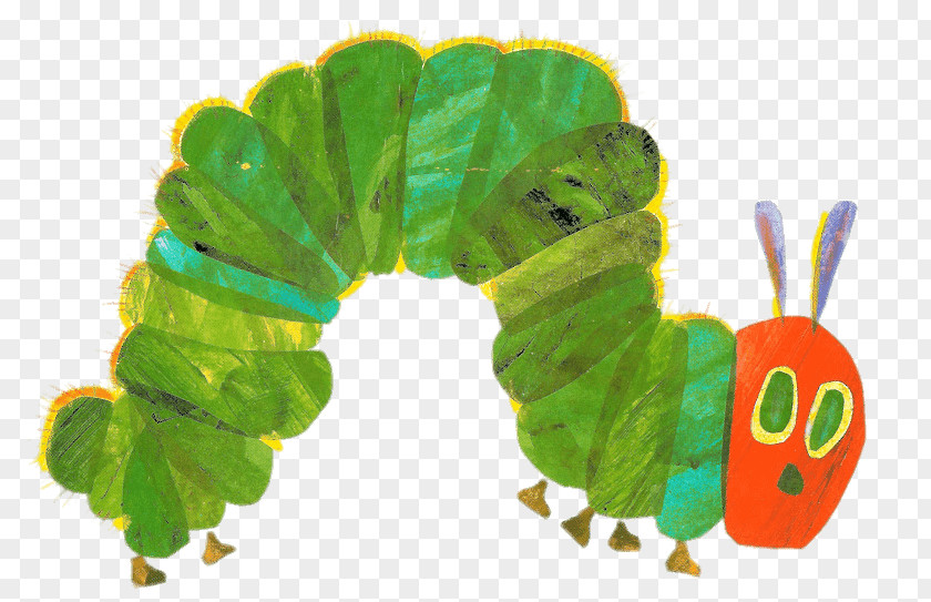 Butterfly The Very Hungry Caterpillar Clip Art PNG