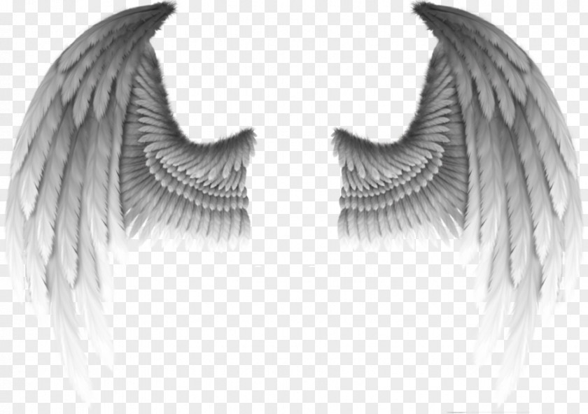 Devil's Wings Fallen Angel Devil Wing Demon PNG