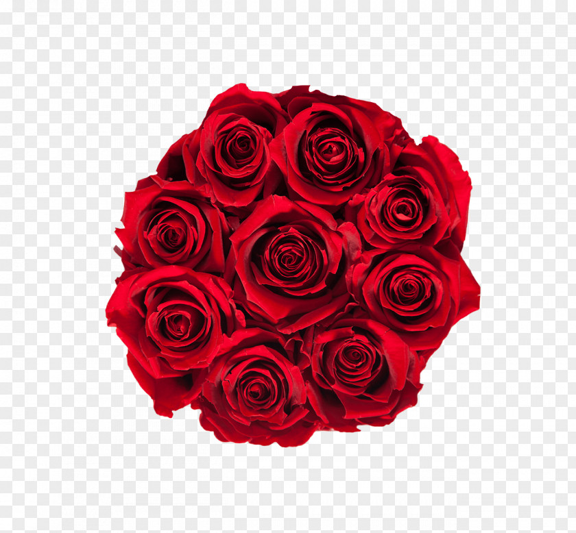 Royal Red Garden Roses Floral Design Cut Flowers Flower Bouquet PNG