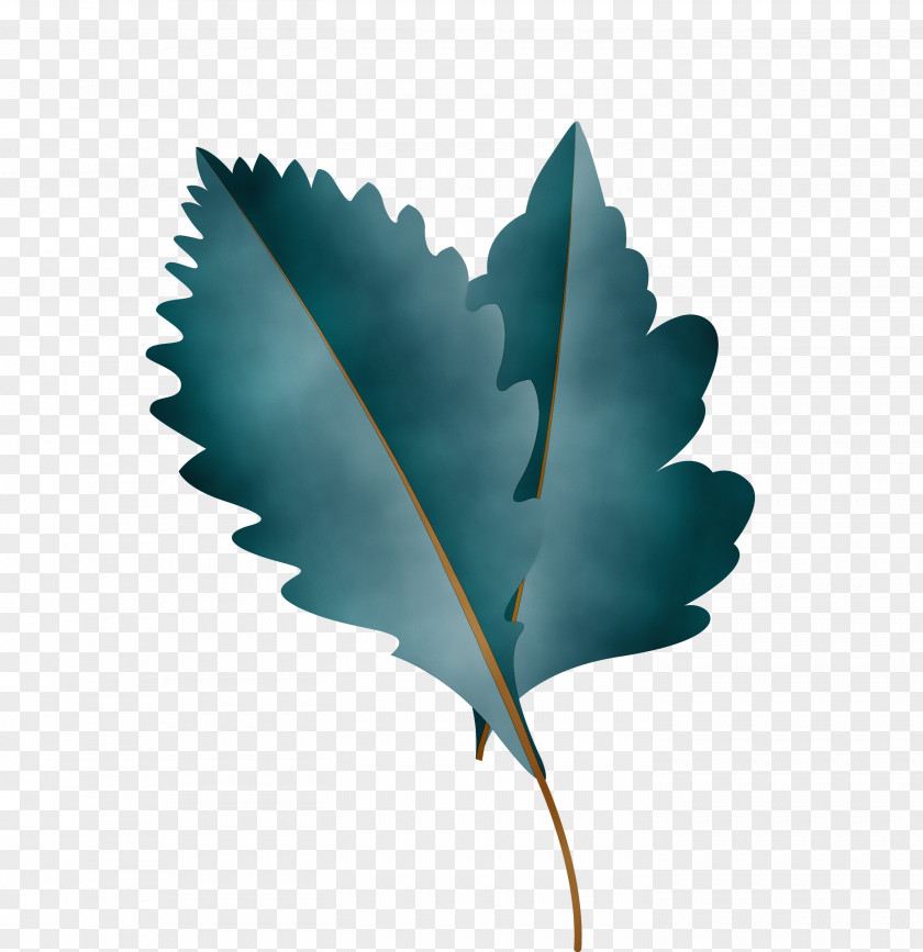 Leaf M-tree Turquoise Tree Science PNG