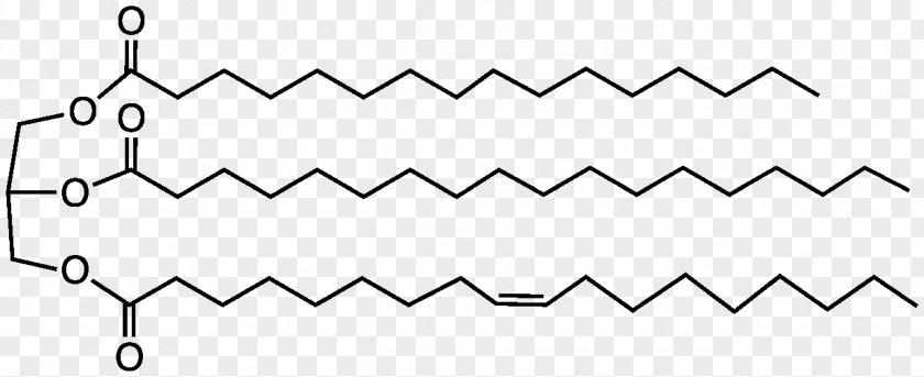 Milk Cocoa Butter Butterfat Triglyceride PNG