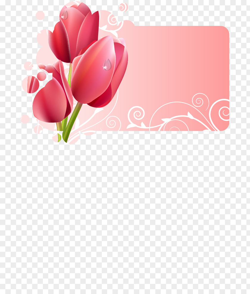 Romantic Tulip Border Dialog Title Flower Picture Frame Floral Design PNG