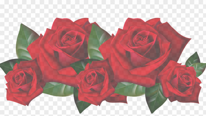 Rose Desktop Wallpaper Clip Art PNG