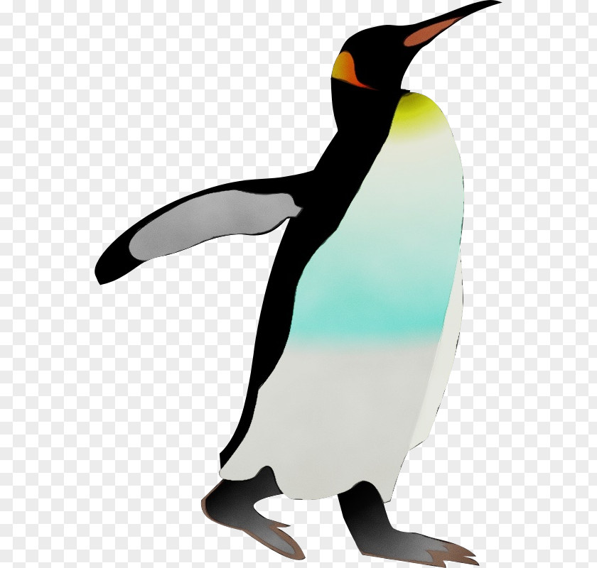 Animal Figure Gentoo Penguin Watercolor Background PNG