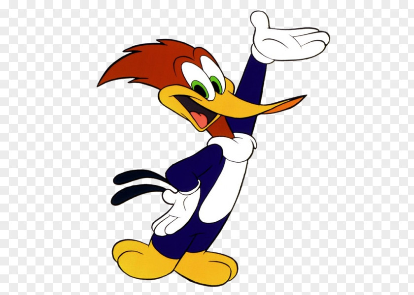 Animation Woody Woodpecker Andy Panda Felix The Cat Cartoon PNG