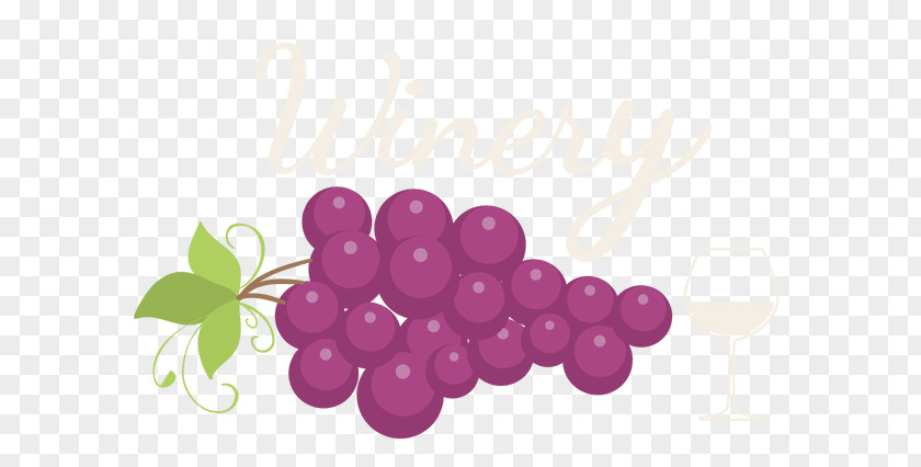 Menu Icon Grape Logo Auglis PNG