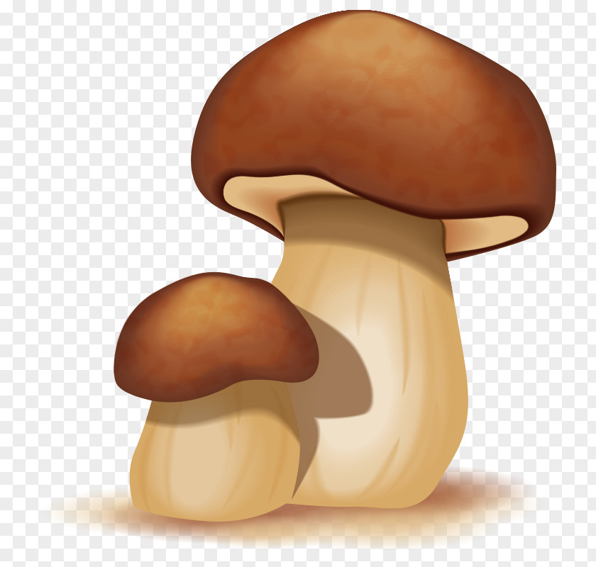 Mushroom,fungus Mushroom Cartoon PNG
