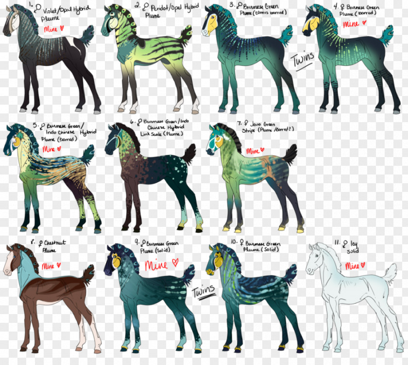 Mustang Dog Breed Pony Pack Animal PNG