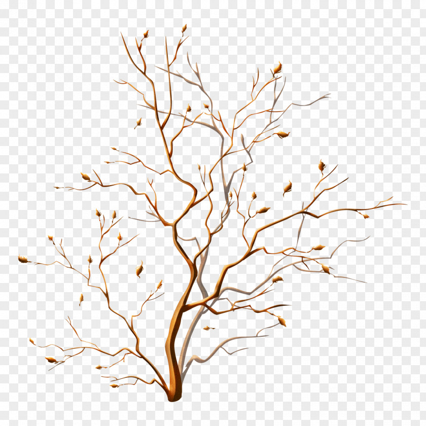 Tree Floral Ornament Clip Art PNG