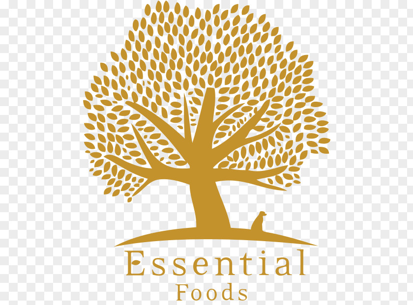 Breaking News Alert Logo Essential Foods Dog Food Beginning Breed 12,5kg Older, 12,5 Kg PNG