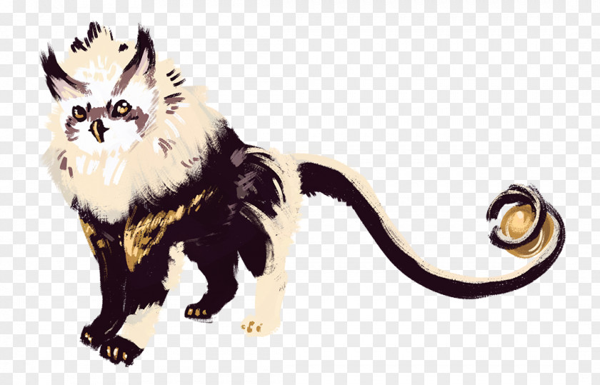 Cat Raccoon Fur Wildlife PNG