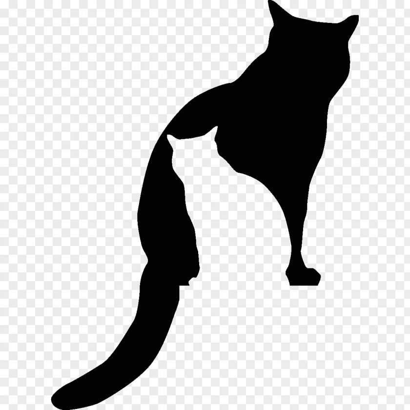 Cat Whiskers Black Silhouette Kitten PNG