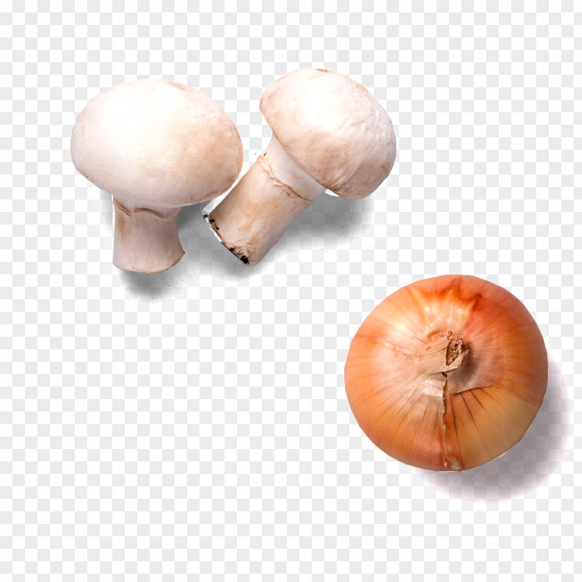 Onion Mushrooms Hamburger Mushroom Vegetable PNG