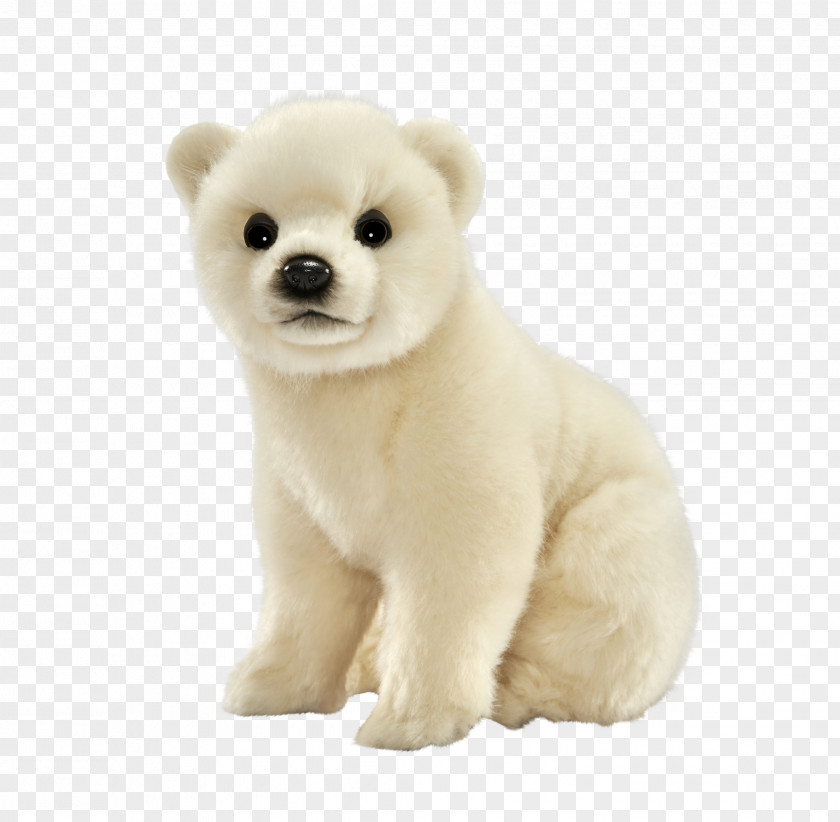 Polar Bear Stuffed Animals & Cuddly Toys Plush PNG