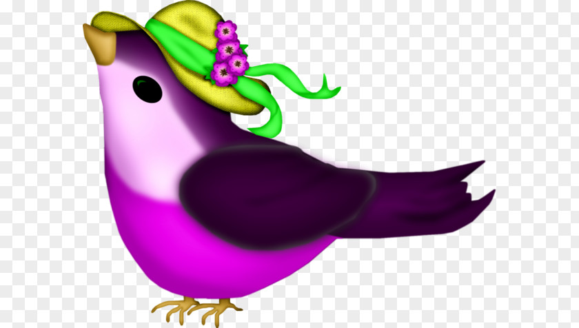 Purple Birdie Bird PNG