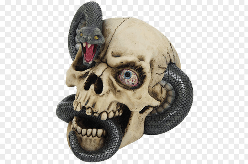 Skull Human Snake Calavera Black Mamba PNG