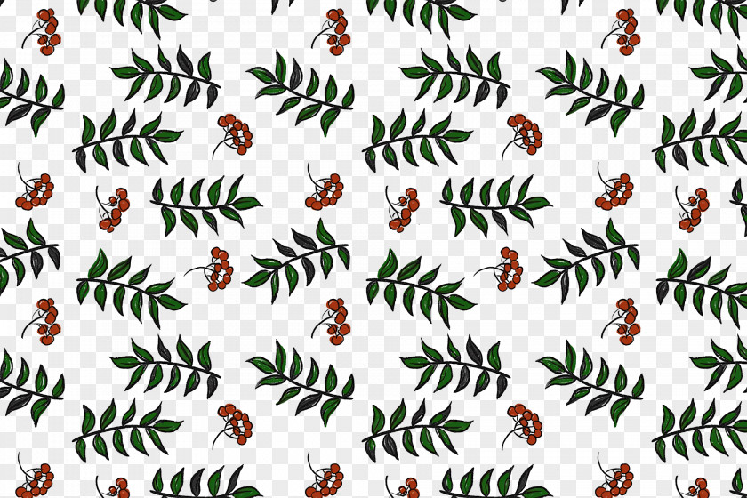 Butterflies Spruce Insect Flower Text PNG