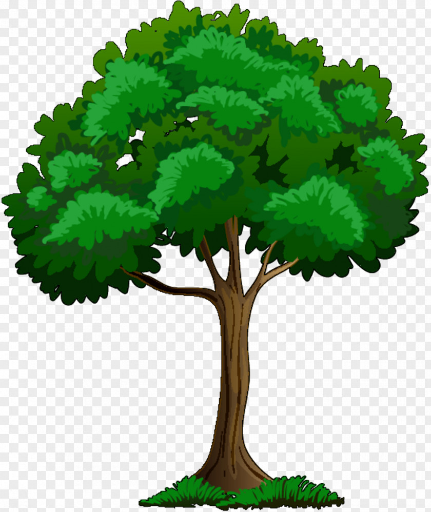 Clip Art Vector Graphics Illustration Tree PNG