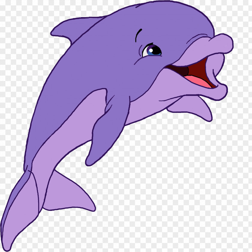 Dolphin Common Bottlenose Tucuxi Short-beaked Wholphin Rough-toothed PNG