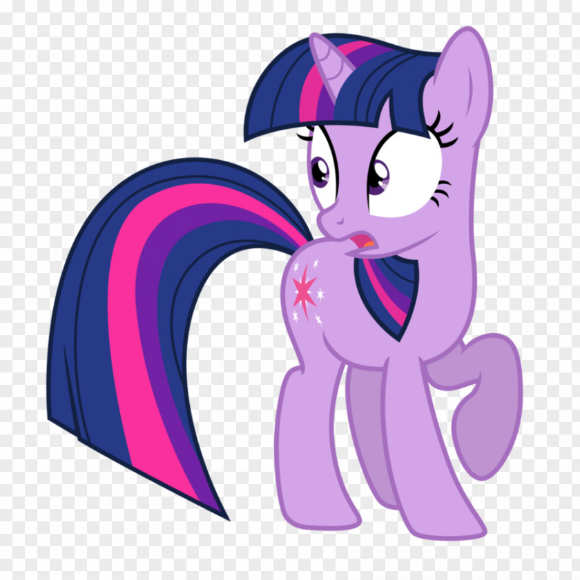 Twilight Sparkle Applejack Pony Rainbow Dash Pinkie Pie PNG