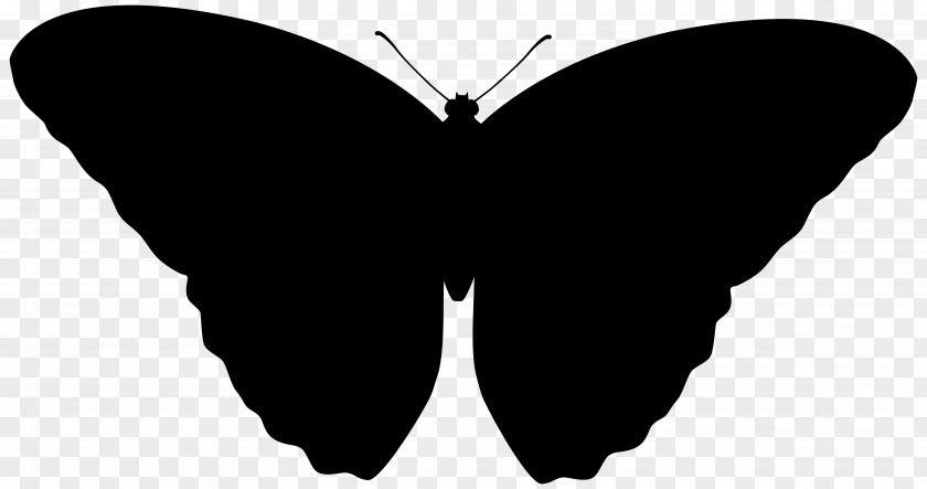 Brush-footed Butterflies Font Silhouette M. Butterfly PNG