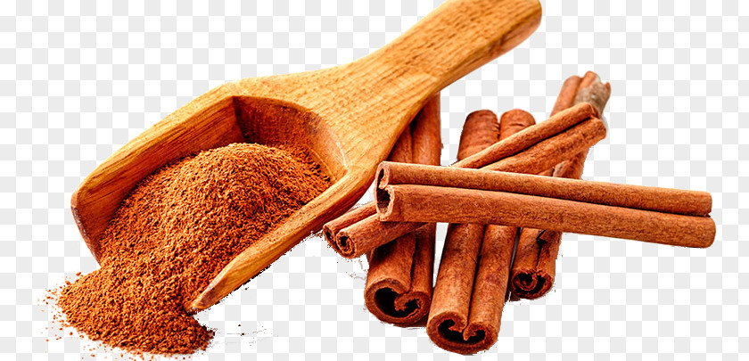 Canela Cinnamon Roll True Tree Moroccan Cuisine Food PNG