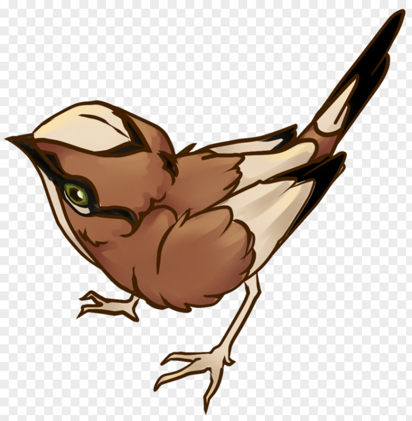 Fox Sparrow Beak Chicken Clip Art Illustration Wren PNG