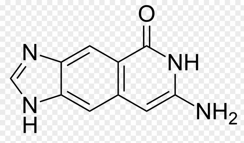 Modified Benzoic Acid 3,5-Dinitrosalicylic Nucleic Guanine PNG