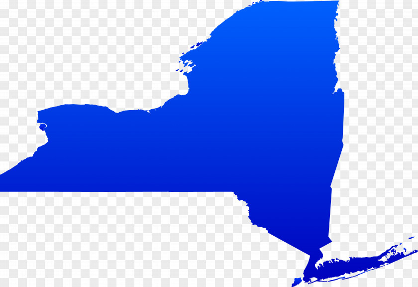 New York City Gubernatorial Election, 1982 U.S. State Statute Court PNG