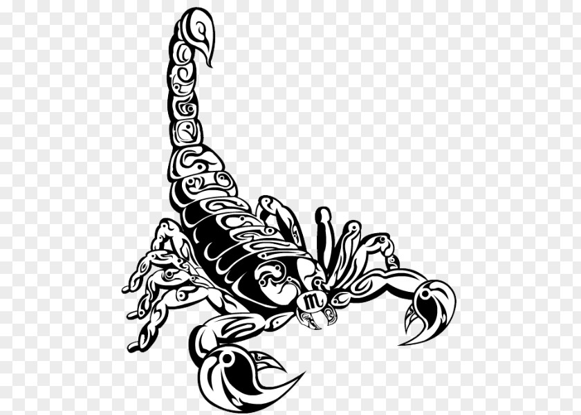 Scorpion Tattoo Artist Drawing PNG