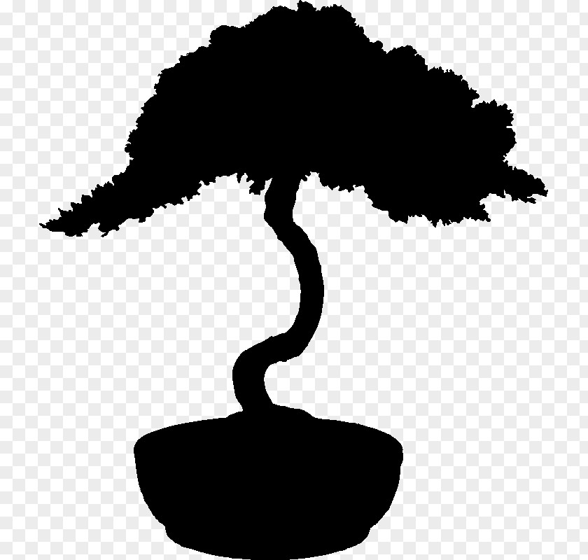 Tree Bonsai Silhouette Stock Photography PNG
