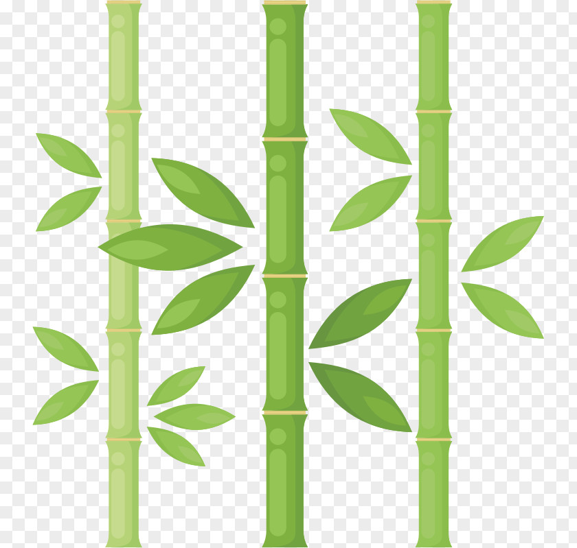 Bamboo Drawing Clip Art PNG