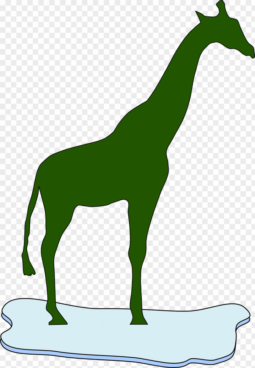 Giraffe Northern Silhouette Clip Art PNG