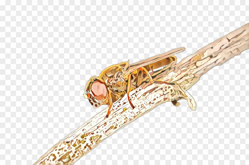 Jewellery Musical Instrument Brass Insect Wind PNG