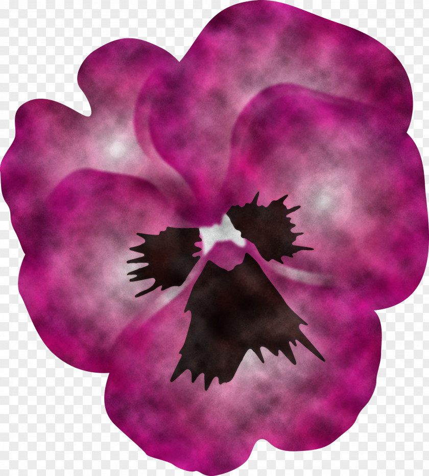 PANSY Spring Flower PNG