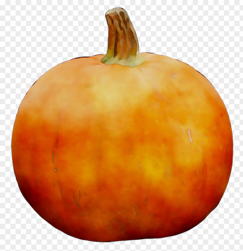 Pumpkin Herbein's Garden Center Inc Emmaus Calabaza Gourd PNG