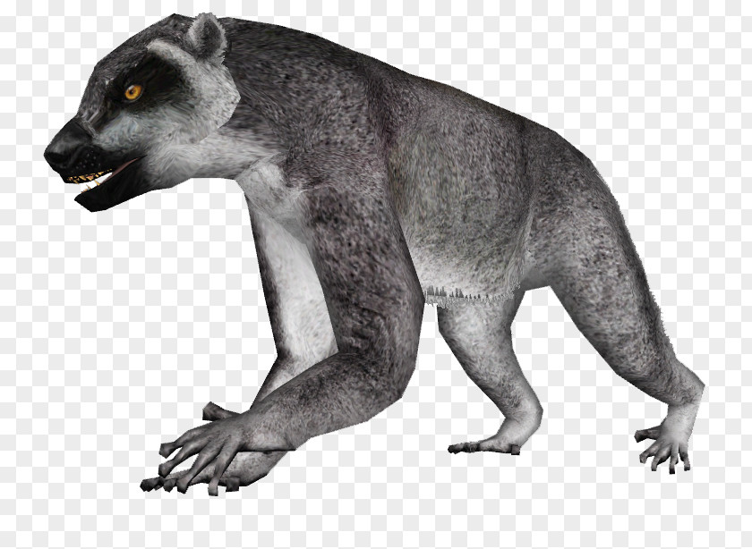 Raccoon Lemur Koala Zoo Tycoon 2 Megaladapis PNG